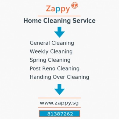 Zappy Home Cleaning Services | Year End Promo