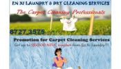 En Xi Laundry - Carpet Cleaning Promotion - 8727 3575