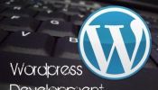 Wordpress Developer (Part Time, Student job)