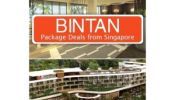 Singapore to Bintan (Hotel + Ferry) Package Deals