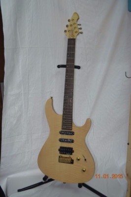 Guson EG-850N Electric Guitar - include bag, cable, strap, guitar stand, pick & pick holder