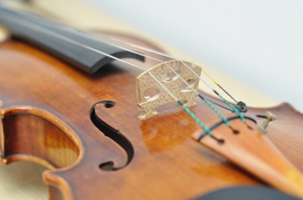 Cello lessons at Musical Art Studio