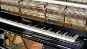 ELKA'S Piano Tuning, Repair & Varnishing. Organ repair.