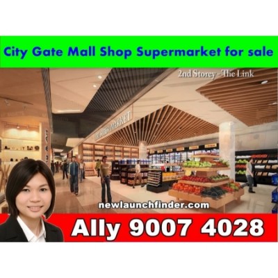City Gate Shop Restaurant Supermarket Penthouses for Sale near MRT Bea...