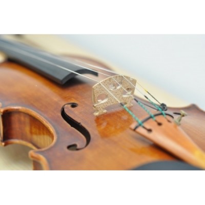 VIOLIN GROUP CLASSES for Kids and Adults