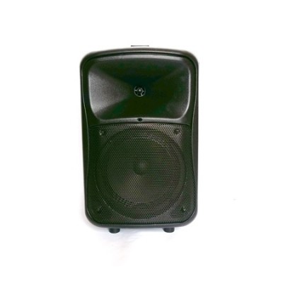 Compact Portable PA System with Dual Wireless Microphones